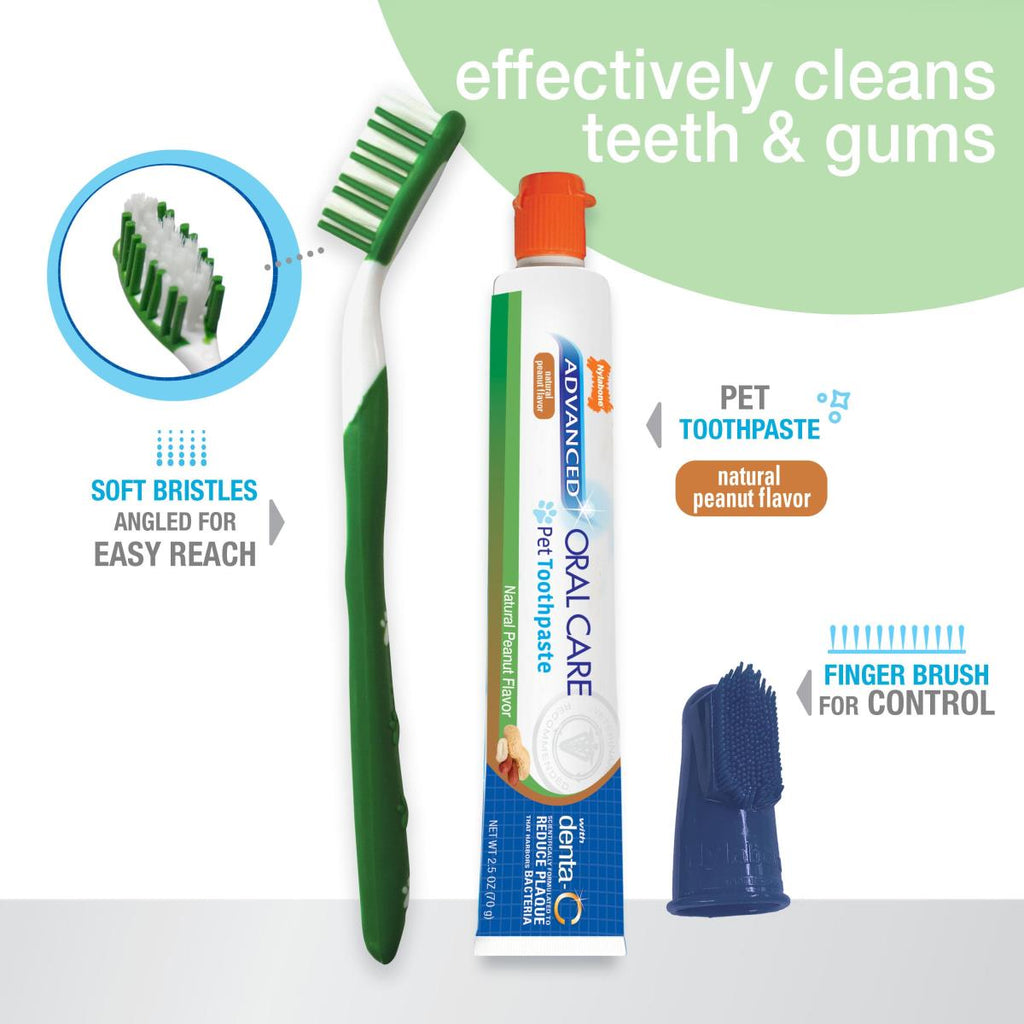 Nylabone Advanced Oral Care Natural Dog Dental Kit Peanut