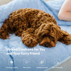Double-Sided Cooling Dog Blanket - Chill Nest