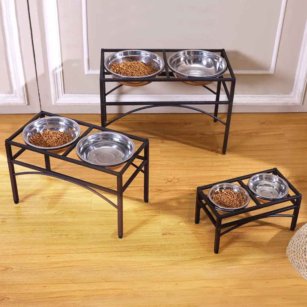 Dual Elevated Raised Pet Feeder