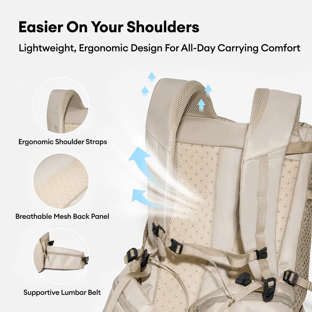 Dog Carrier Backpacks Dog Rucksack Dog Bike Carrier  - Urban Roaming