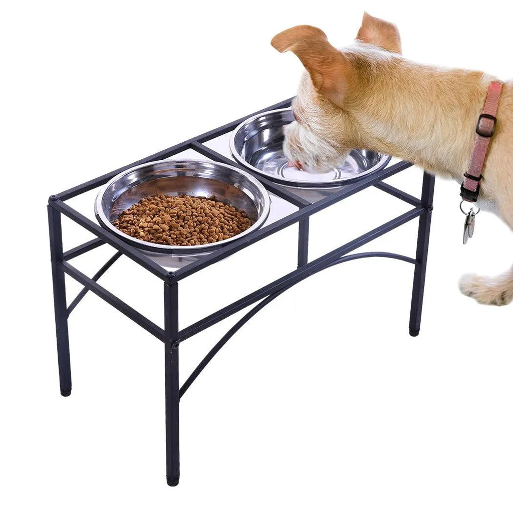 Dual Elevated Raised Pet Feeder