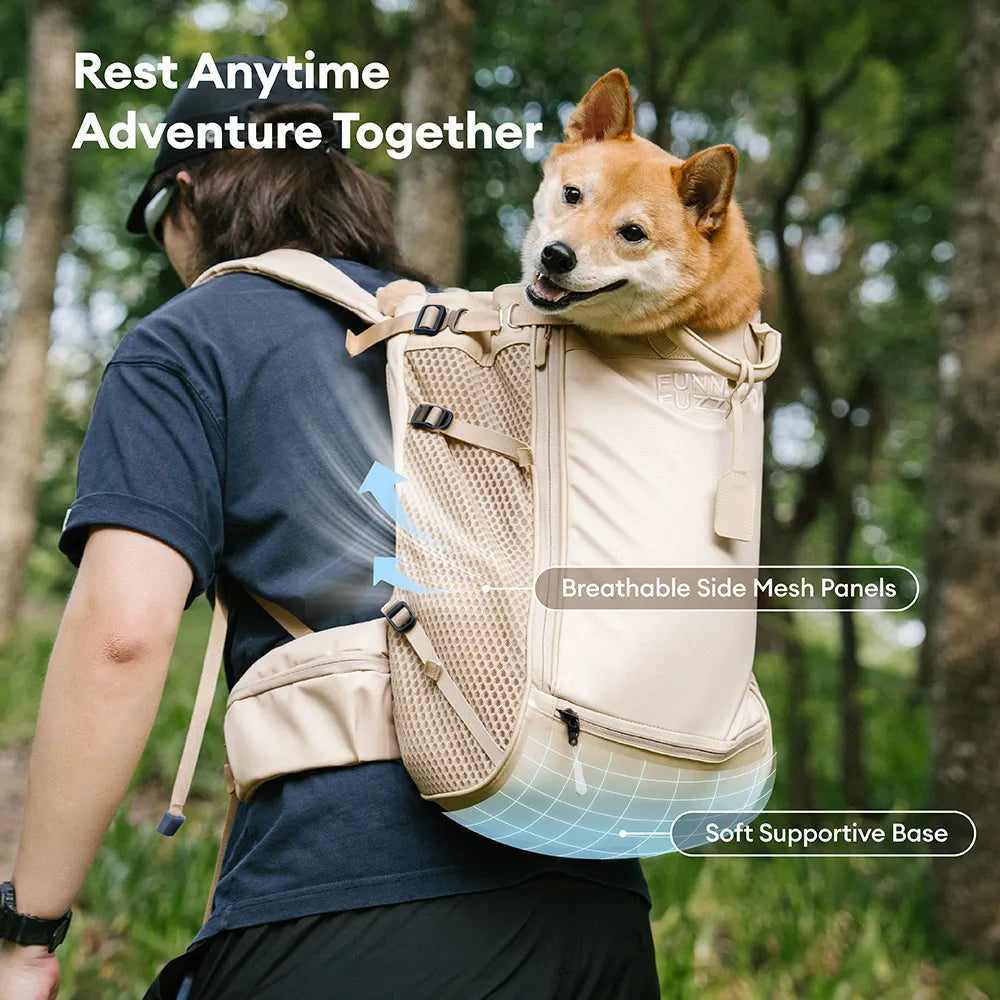 Dog Carrier Backpacks Dog Rucksack Dog Bike Carrier  - Urban Roaming