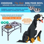Dual Elevated Raised Pet Feeder