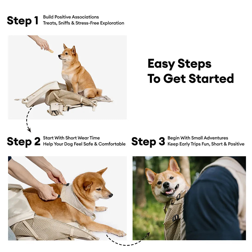 Dog Carrier Backpacks Dog Rucksack Dog Bike Carrier  - Urban Roaming