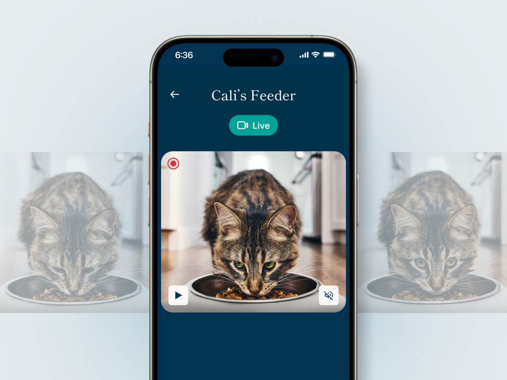 Petivity Smart Feeder for Cats