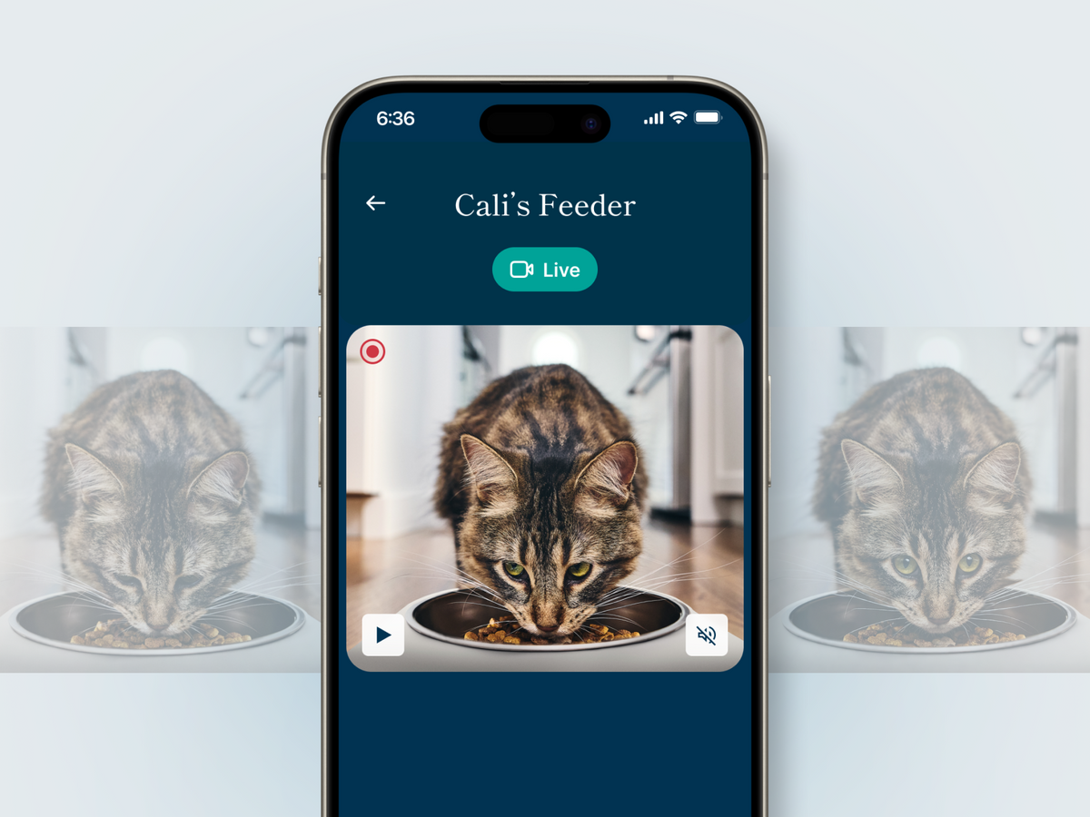Petivity Smart Feeder for Cats