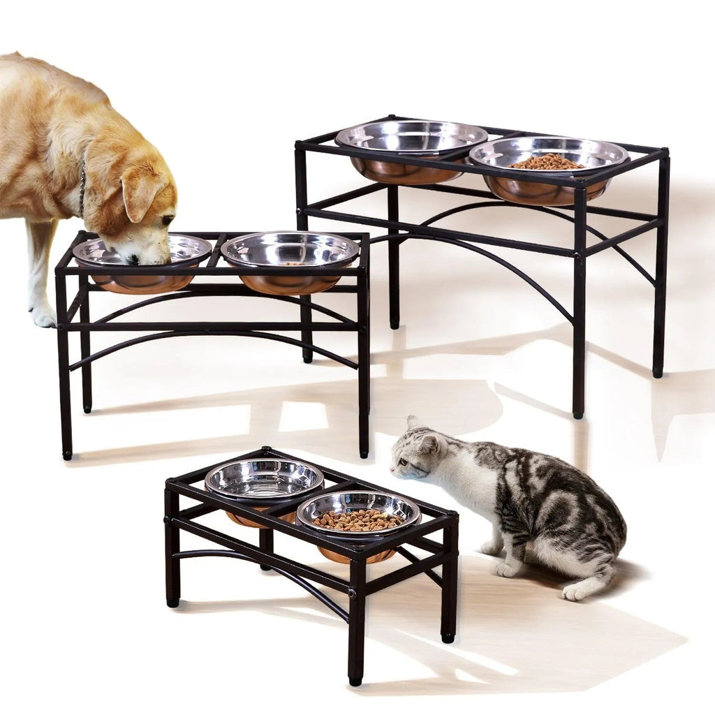 Dual Elevated Raised Pet Feeder