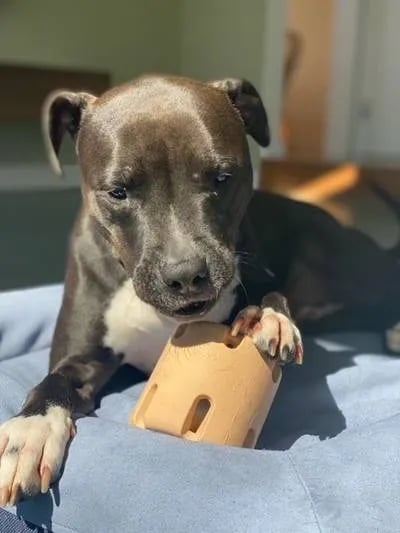 🎁BUY 2 FREE SHIPPING🎁Tennis Tumble Puzzle Toy