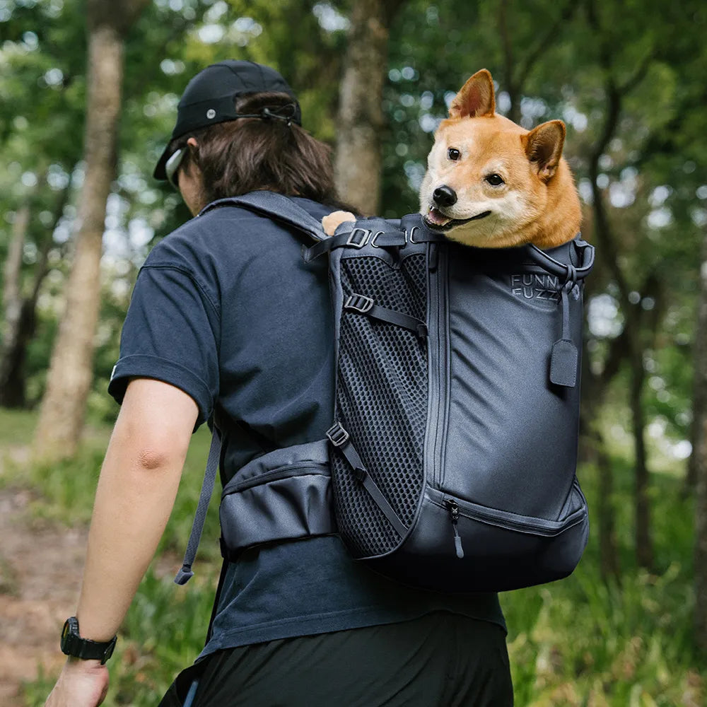 Dog Carrier Backpacks Dog Rucksack Dog Bike Carrier  - Urban Roaming