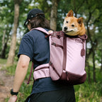 Dog Carrier Backpacks Dog Rucksack Dog Bike Carrier  - Urban Roaming