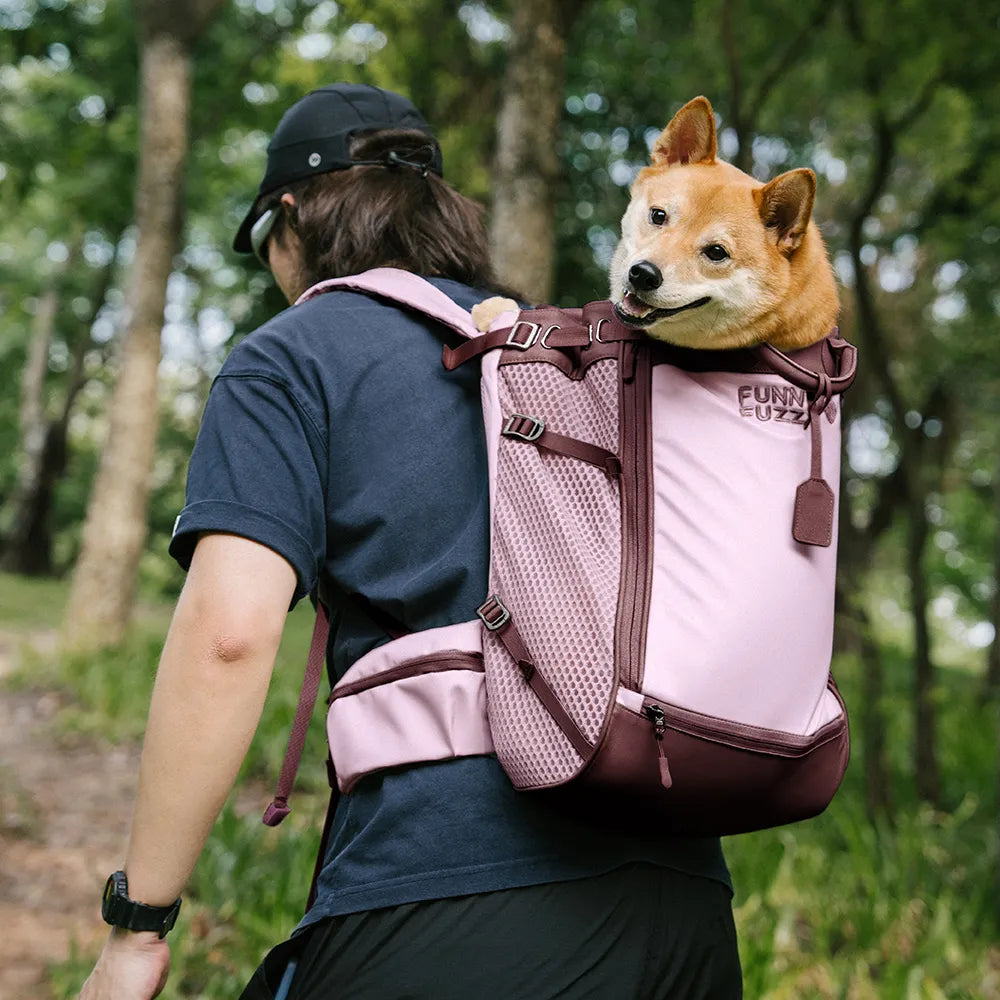 Dog Carrier Backpacks Dog Rucksack Dog Bike Carrier  - Urban Roaming