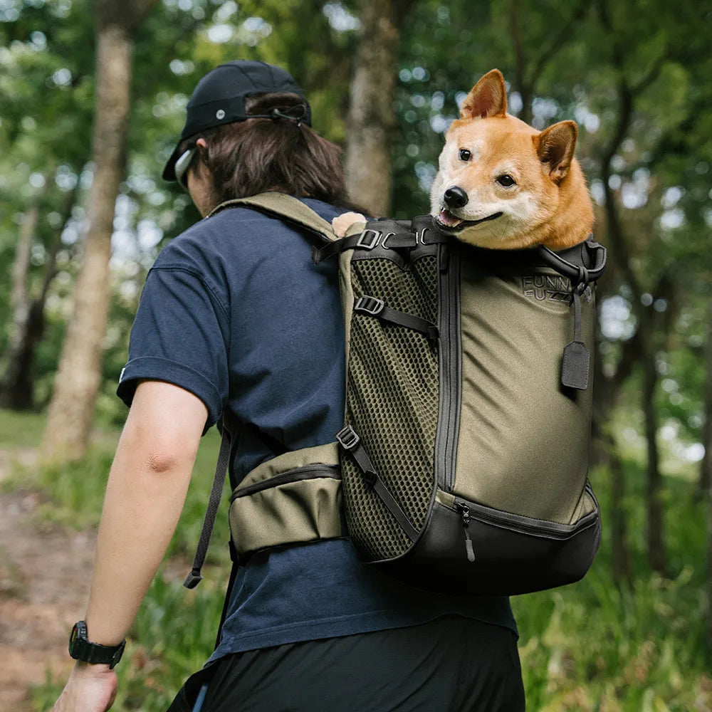 Dog Carrier Backpacks Dog Rucksack Dog Bike Carrier  - Urban Roaming