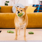 SnugNest Textured Leaf-Shaped Squeaky Dog Toy