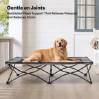 Foldable Elevated Dog Bed Portable Cooling Dog Cot for Camping - Urban Roaming