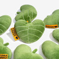SnugNest Textured Leaf-Shaped Squeaky Dog Toy