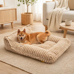 Ribbed Plush Orthopedic Bolster Dog Sofa Bed - Cozy Nest