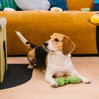 SnugNest Textured Leaf-Shaped Squeaky Dog Toy