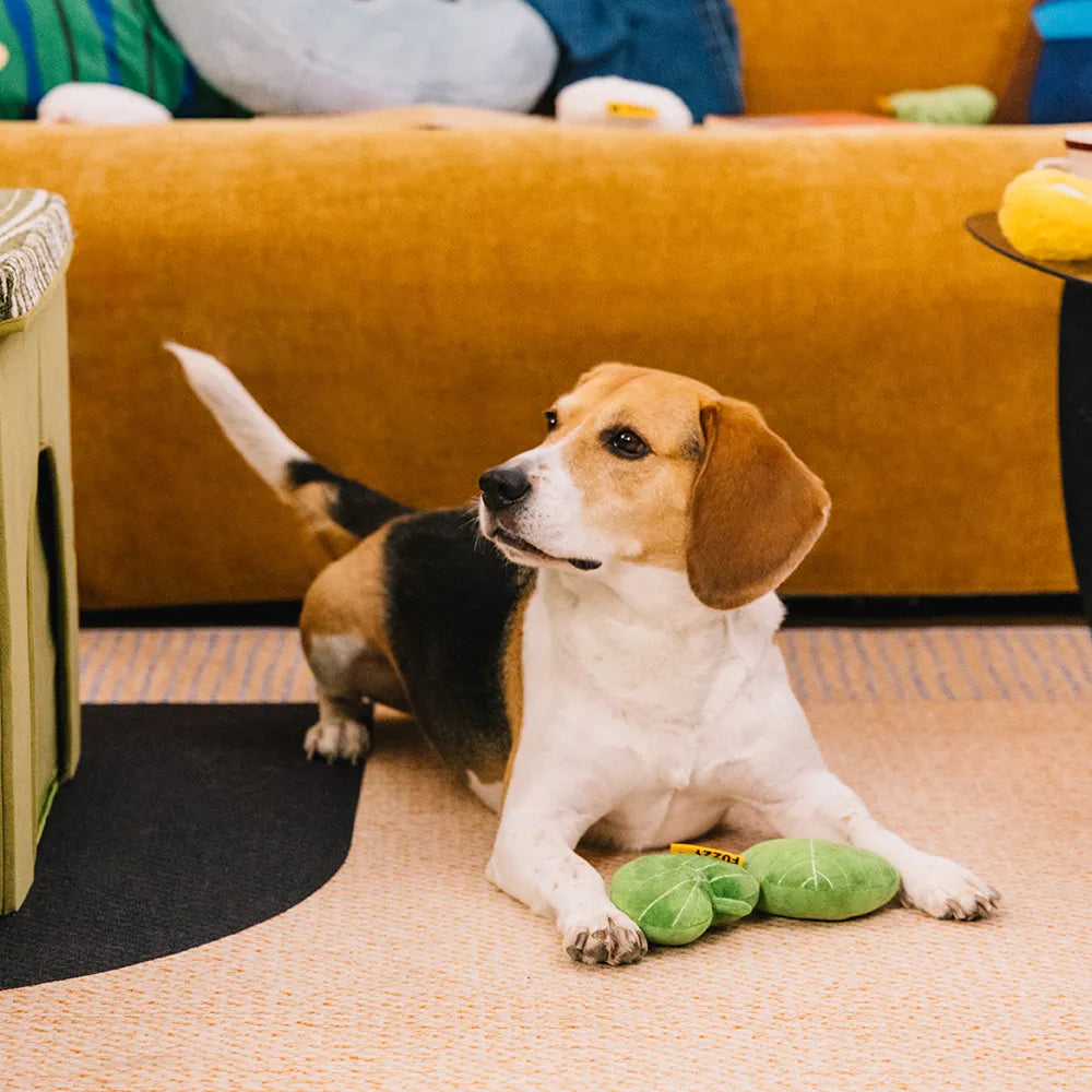 SnugNest Textured Leaf-Shaped Squeaky Dog Toy
