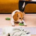 SnugNest Textured Leaf-Shaped Squeaky Dog Toy