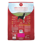 Purina ONE Chicken and Rice Formula Dry Dog Food