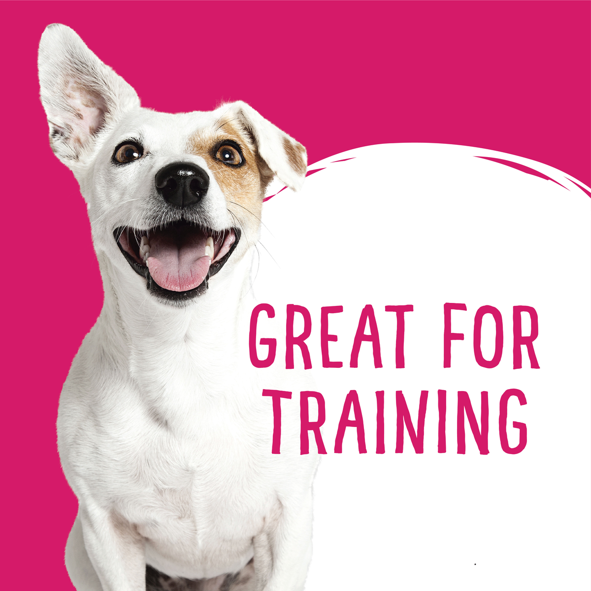 Love'em Kangaroo Dog Training Treats