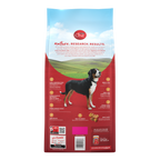 Purina ONE Chicken and Rice Formula Dry Dog Food