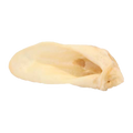Redbarn Lamb Ear Dog Chew