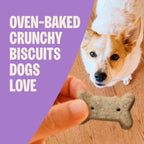 Old Mother Hubbard Classic Original Assorted Flavor Oven-Baked Dog Biscuit Treats