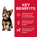 Hill's Science Diet Puppy Small Paws Dry Dog Food, Chicken Meal, Barley & Brown Rice Recipe