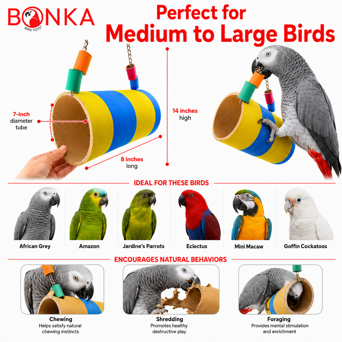 1147 Big Bagel Hut