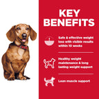 Hill's Science Diet Adult Perfect Weight Small & Mini Dry Dog Food, Chicken Recipe