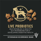Purina Pro Plan High Protein Puppy Food Shredded Blend Chicken & Rice Formula