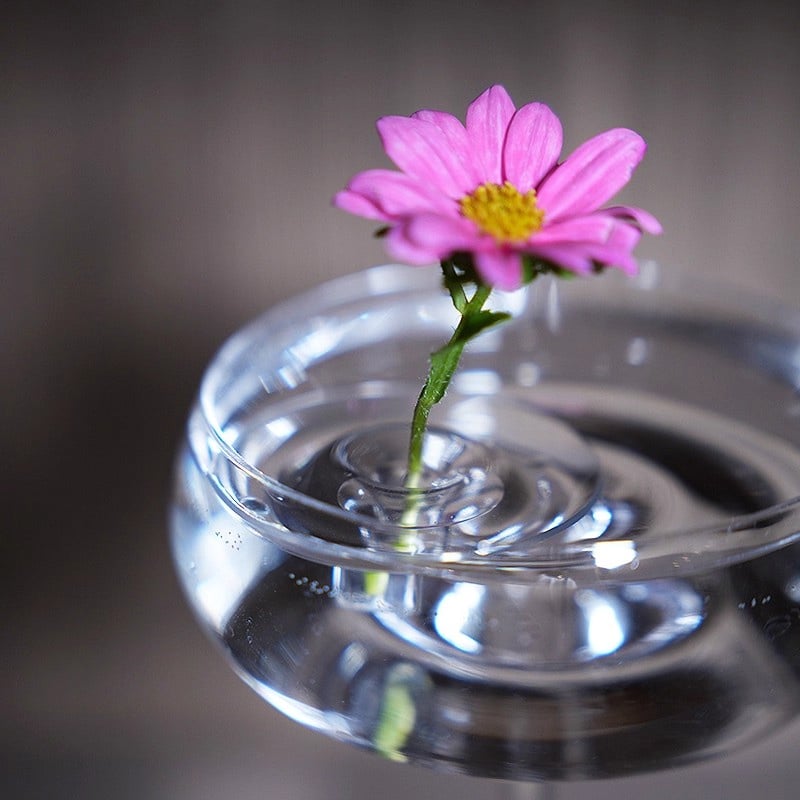 🏆Flash Sale⚡🌷2025 Creative Floating Floral Arrangement Holder