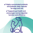 Protexin - Synbiotic D-C (Digestive Supplement For Dogs & Cats) 50 Caps