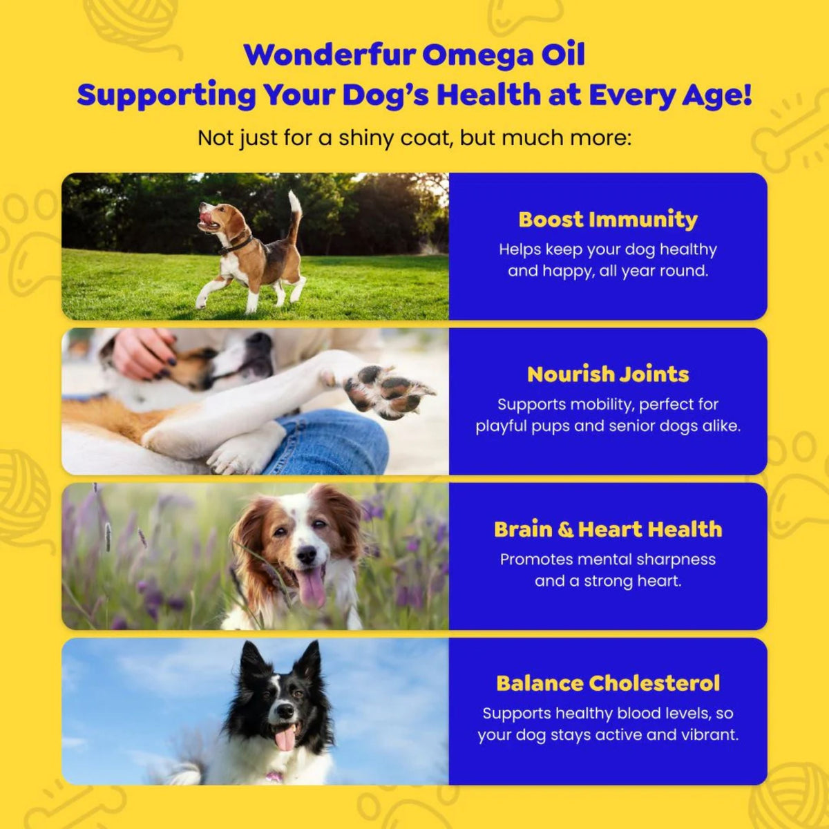 Wonderfur Super Omega Oil for Dogs & Cats