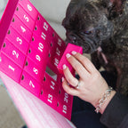 Laila & Me Dog Advent Calendar