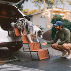 Foldable Dog Stairs for Car with Wide Non-Slip Steps - LuxeNest