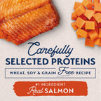 Natural Balance L.I.D. Limited Ingredient Diets Sweet Potato & Fish Adult Dry Dog Food