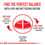 Royal Canin Breed Health Nutrition Golden Retriever Adult Dry Dog Food