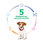 Hill's Science Diet Puppy Small Bites Chicken Meal & Barley Recipe Dry Dog Food