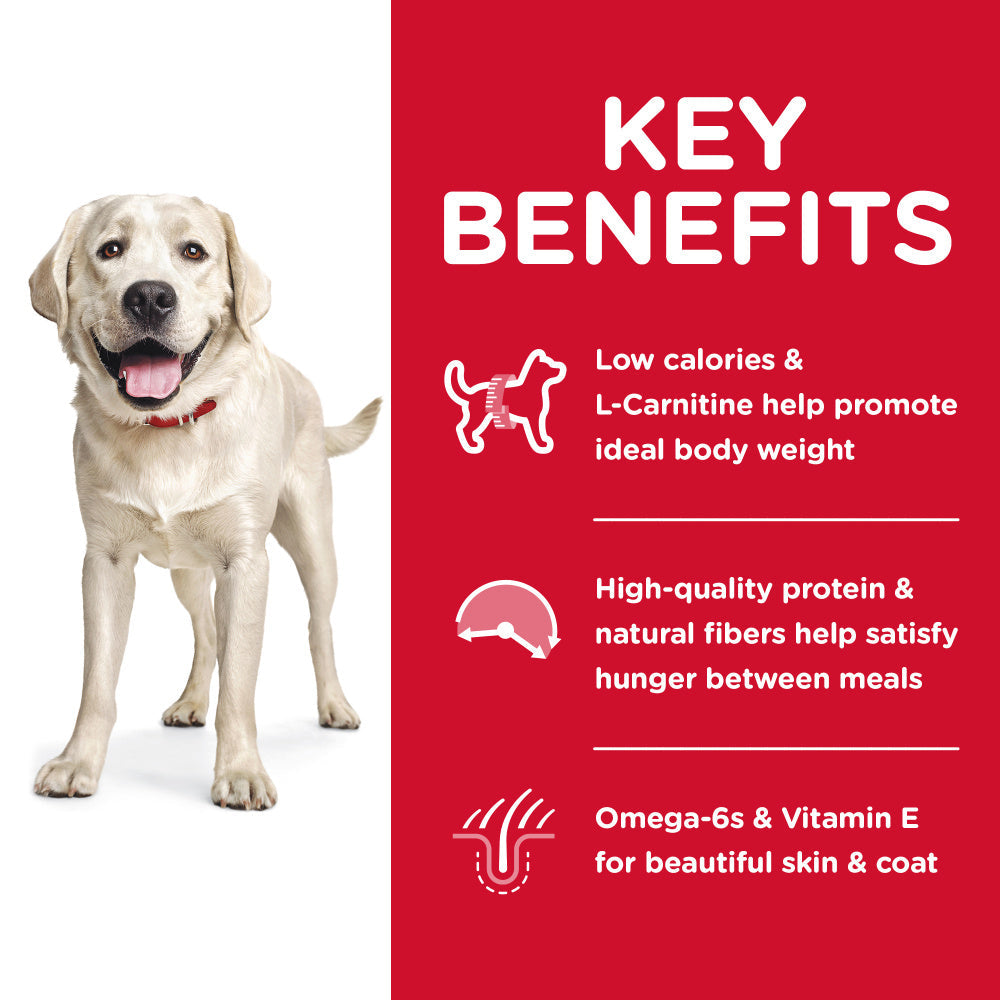 Hill's Science Diet Large Breed Light Chicken Meal & Barley Dry Dog Food