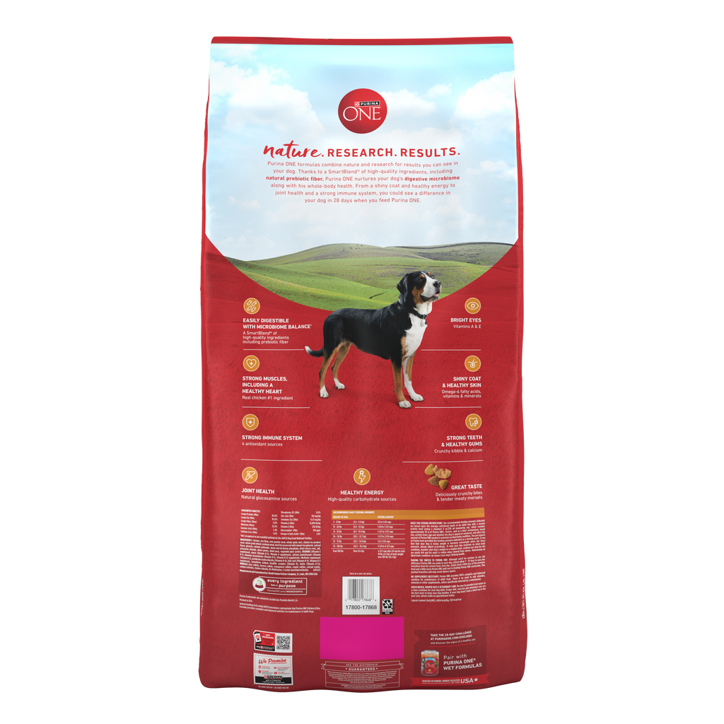 Purina ONE Chicken and Rice Formula Dry Dog Food