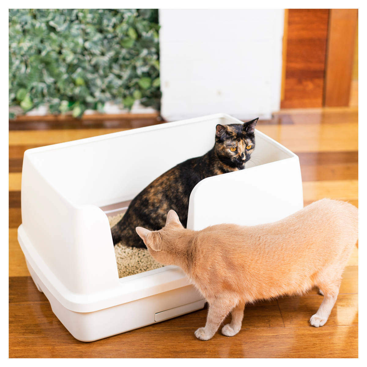 Ezi-LockOdour Dual Layer Cat Litter System XL Kit