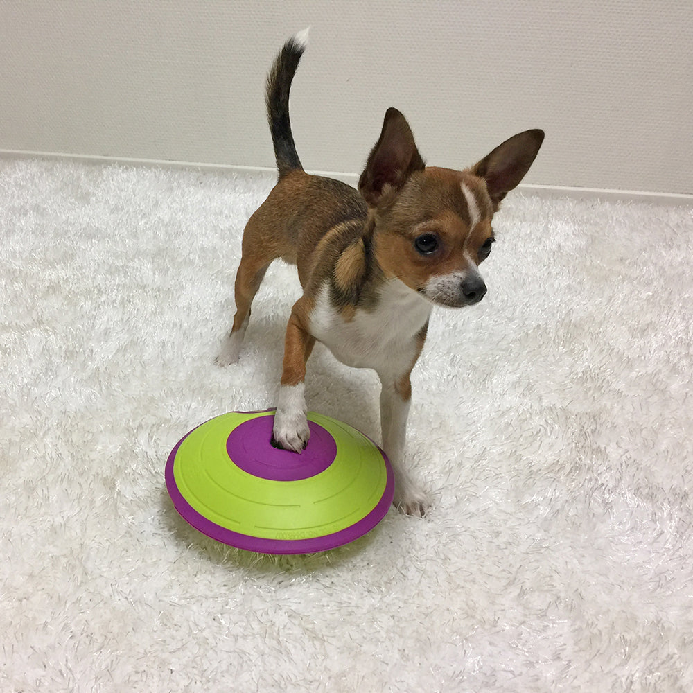 Nina Ottosson Dog Treat Maze - Level 2