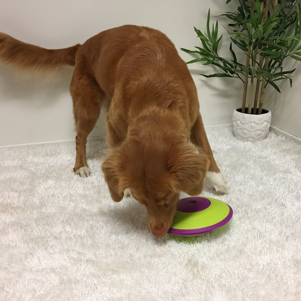 Nina Ottosson Dog Treat Maze - Level 2
