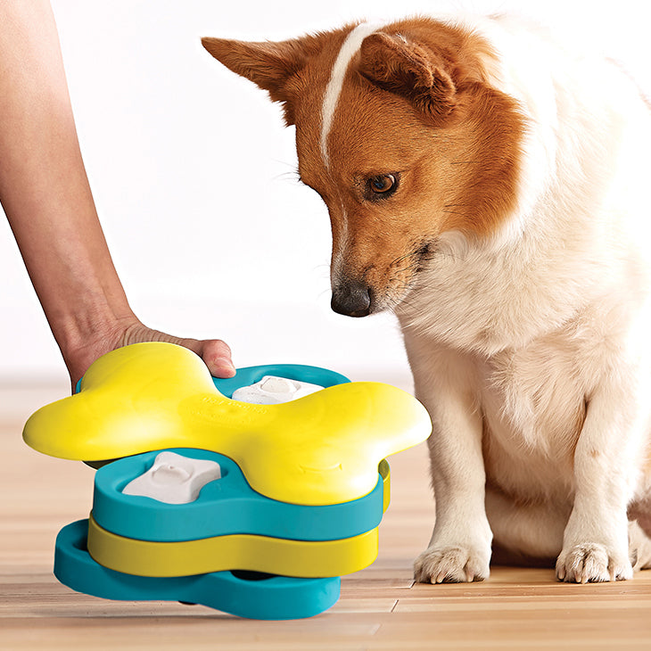 Nina Ottosson Dog Tornado - Level 2