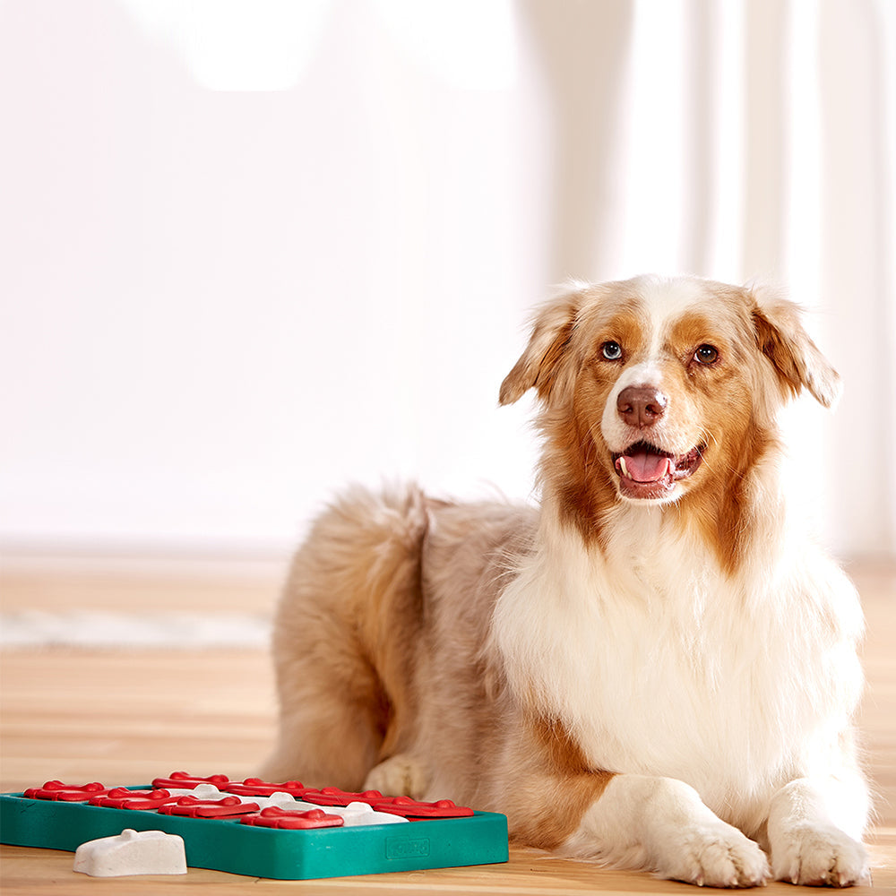 Nina Ottosson Dog Brick - Level 2