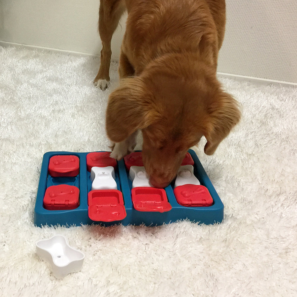 Nina Ottosson Dog Brick - Level 2