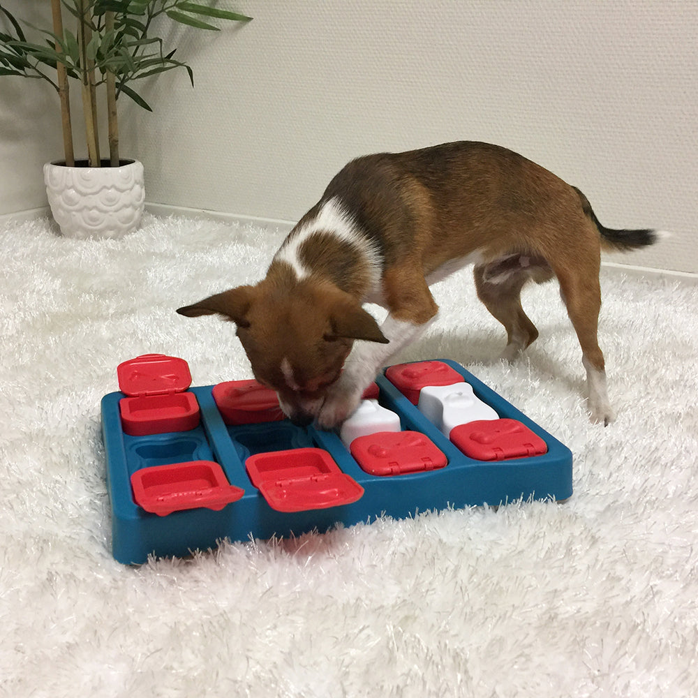 Nina Ottosson Dog Brick - Level 2