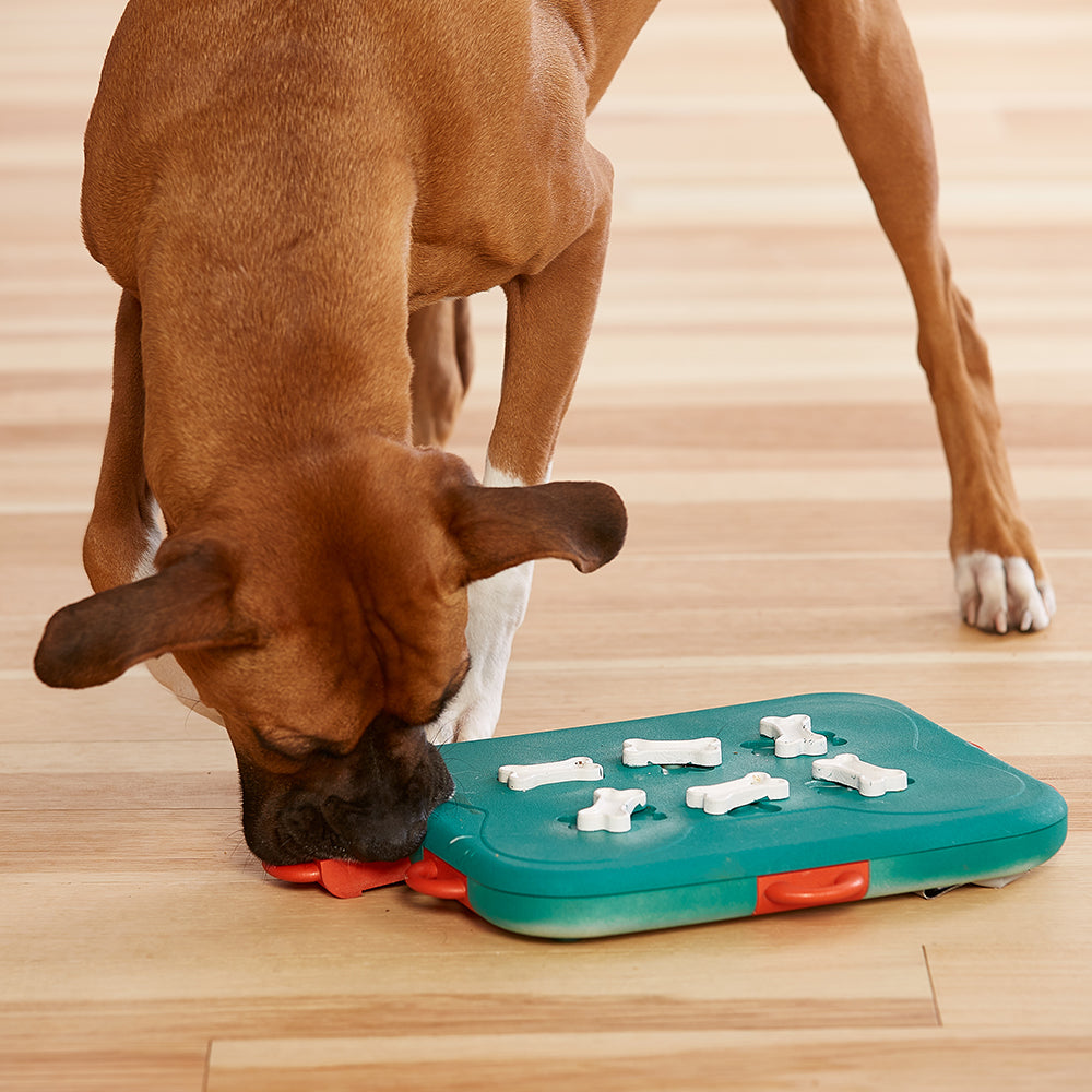 Nina Ottosson Dog Casino - Level 3
